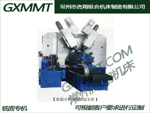 铣面专机，导轨铣削专机，T型槽加工专机，工字钢加工专机，三工位铣床